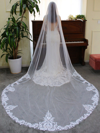 Wedding Veils One Tier Tulle Lace Applique Edge Waterfall Bridal Veil